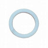43235 BACK-UP TEFLON RING by CAT PUMPS (2732)