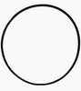 43343 O-RING BEARING CASE by CAT PUMPS (2739)