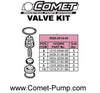 5025.0014.00 CHECK VALVE KIT by COMET PUMPS  (5731)