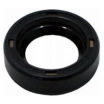 55337 OIL SEAL 2DX by CAT PUMPS