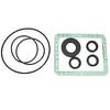 AR PUMP KIT 1855 OIL SEALS XRA N VERSION (3403)